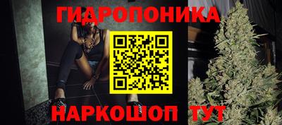 МДПВ Пушкино