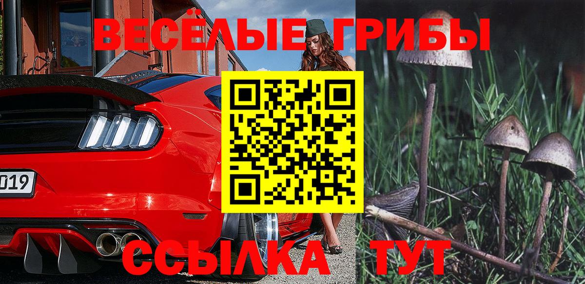 Галлюциногенные грибы Cubensis Псков